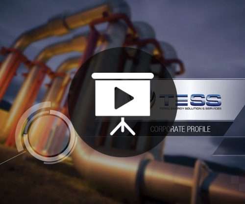 Sample Company Profile Presentation - TESS